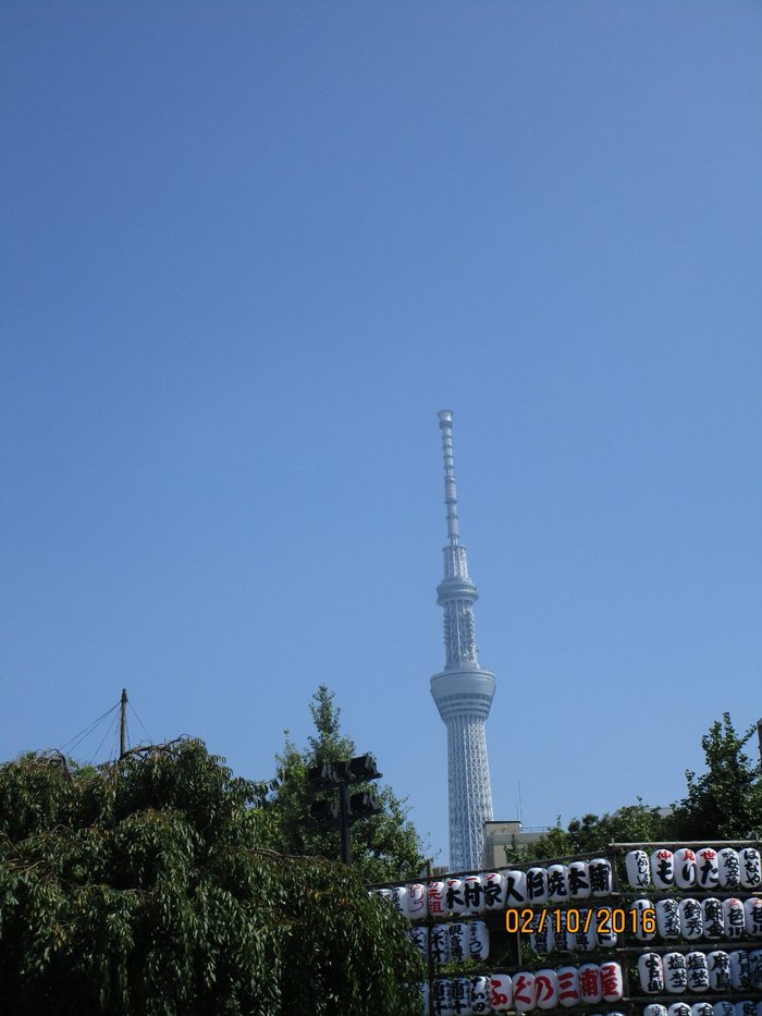 Imagen 3 de Soho Asakusa