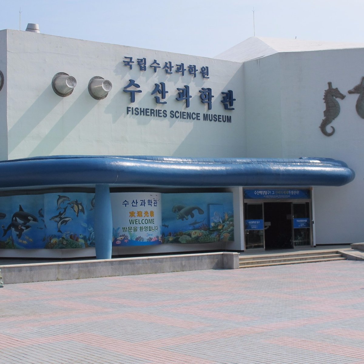 국립수산과학원 - 부산 - 국립수산과학원의 리뷰 - 트립어드바이저