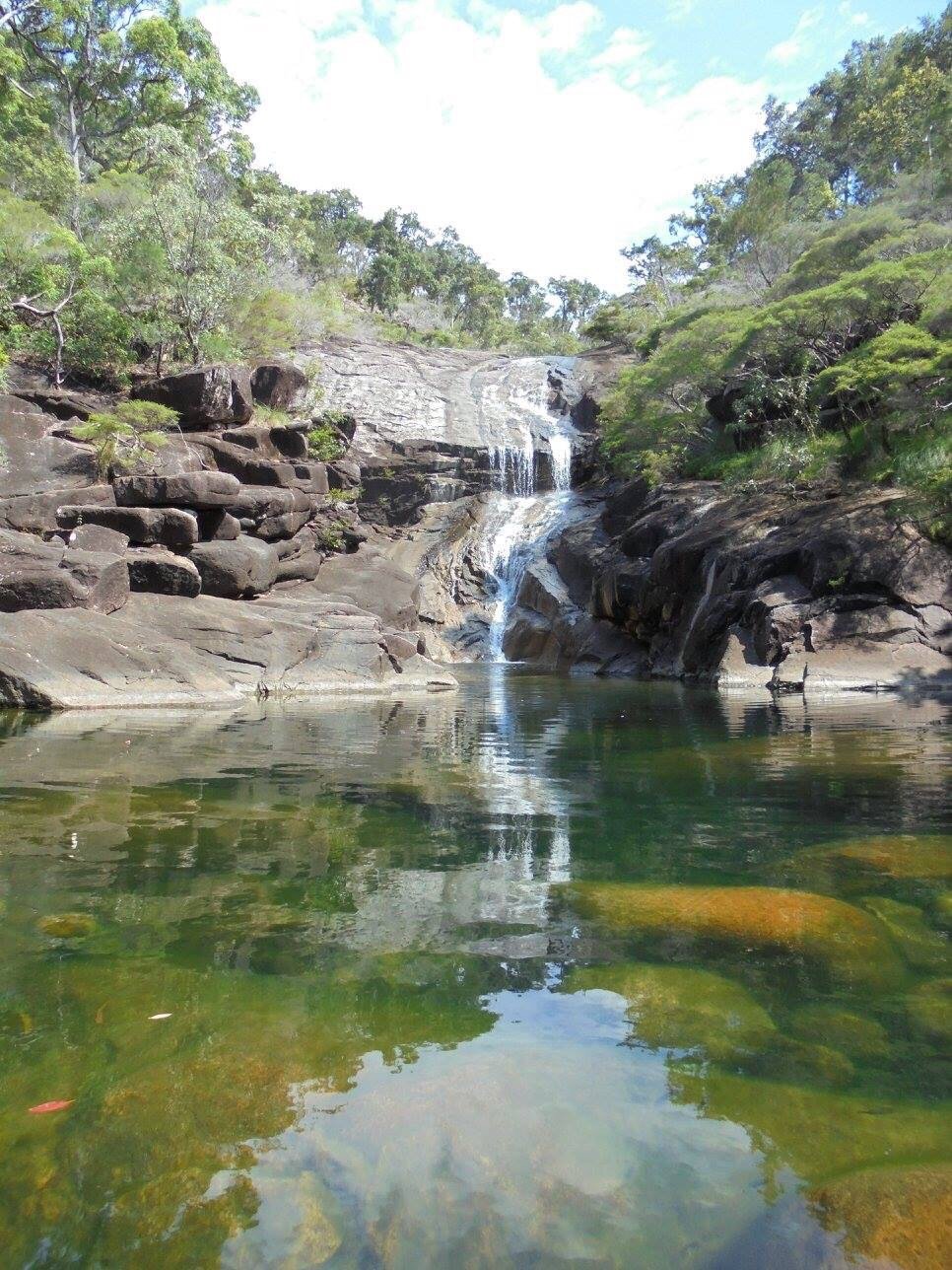 HINCHINBROOK ISLAND NATIONAL PARK: Tutto Quello Che C'è Da Sapere