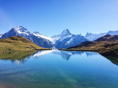 Grindelwald, Switzerland: All You Must Know Before You Go (2024 ...