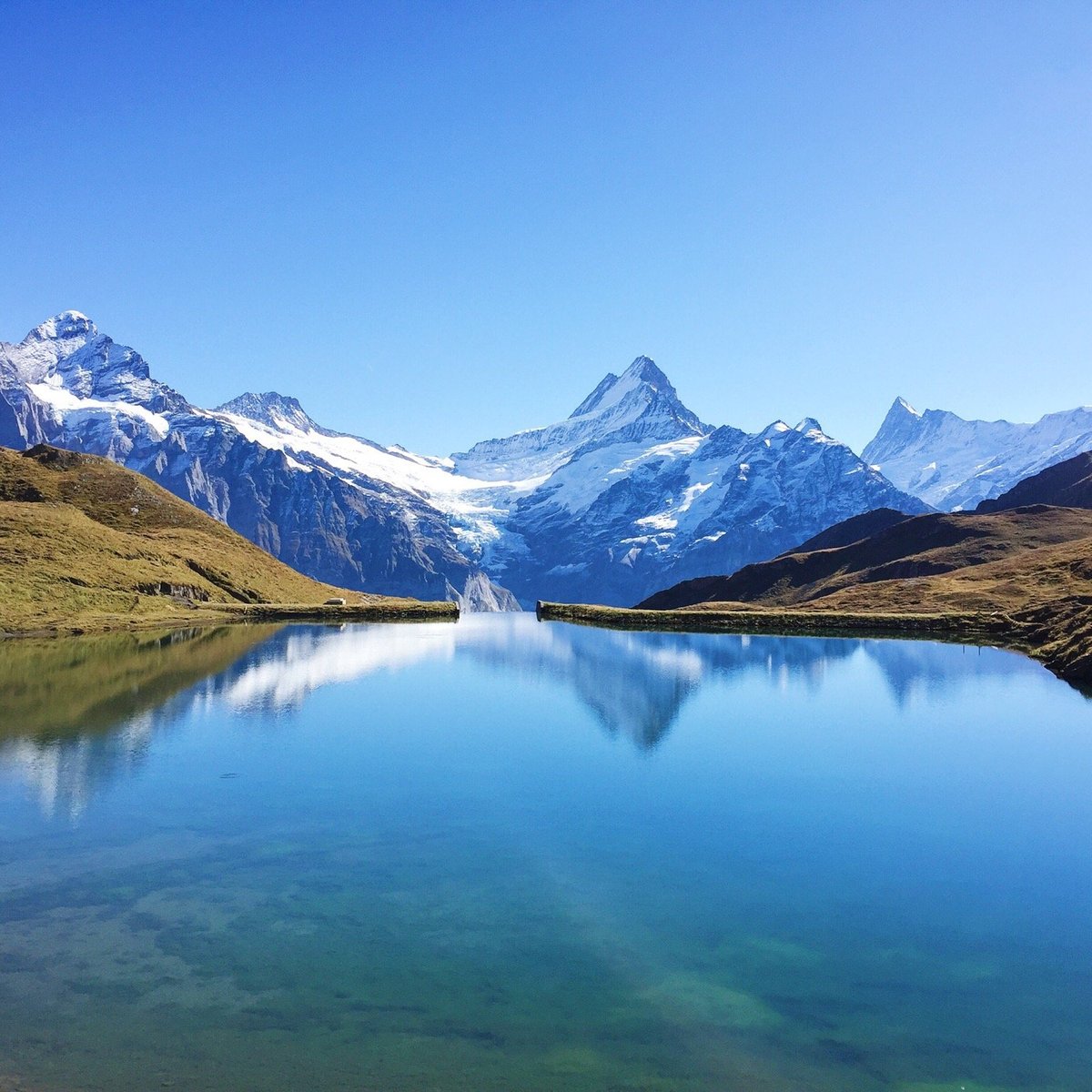 Bachalpsee Lake - All You Need to Know BEFORE You Go (2024)