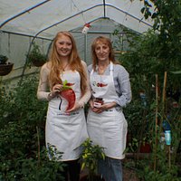 We grow more than 4,000 plants a year! Let us show you how to grow your own.