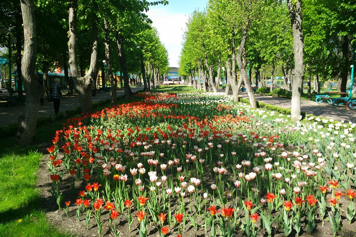 Kropyvnytskyi Regional Museum