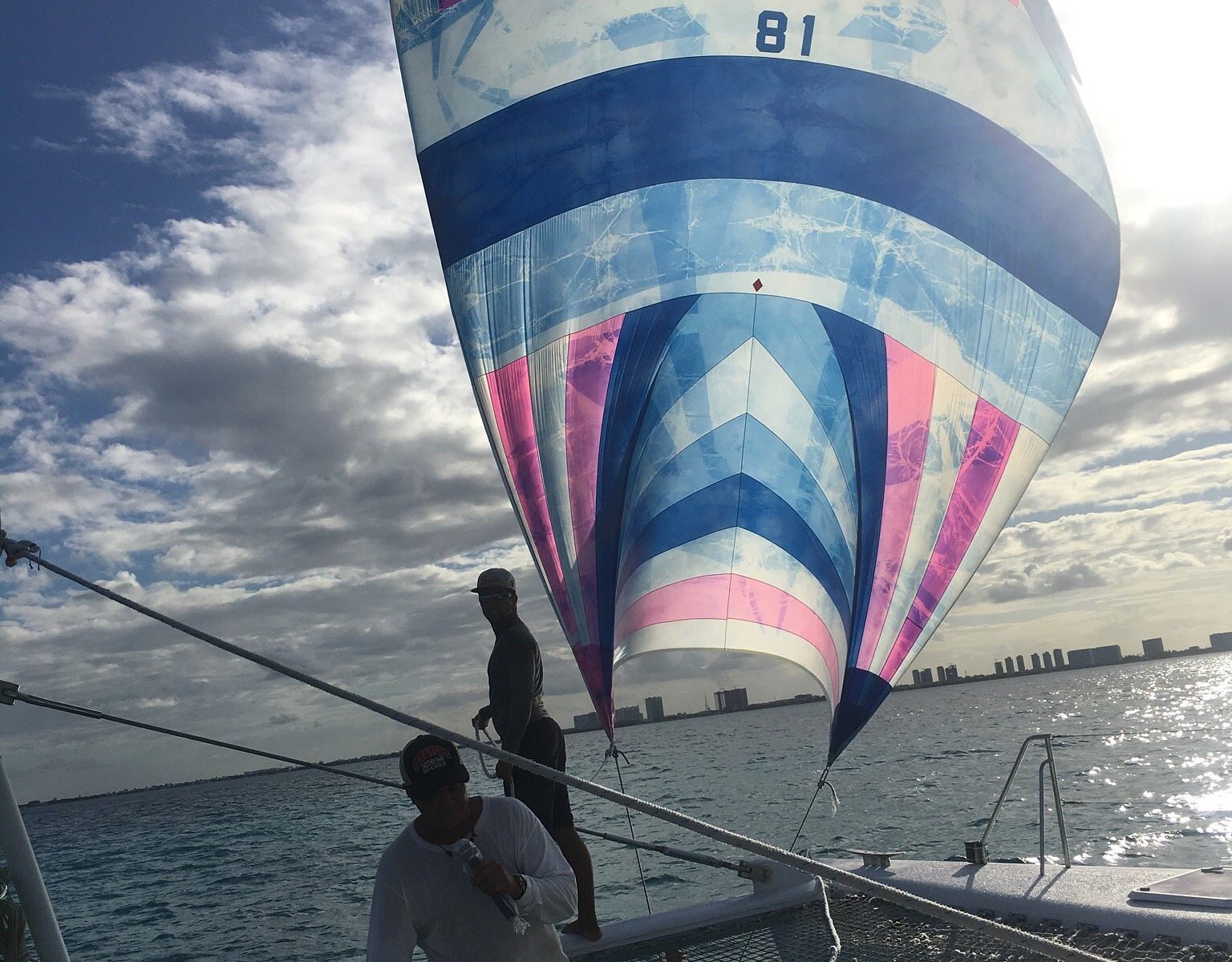 catamaran sailing miami