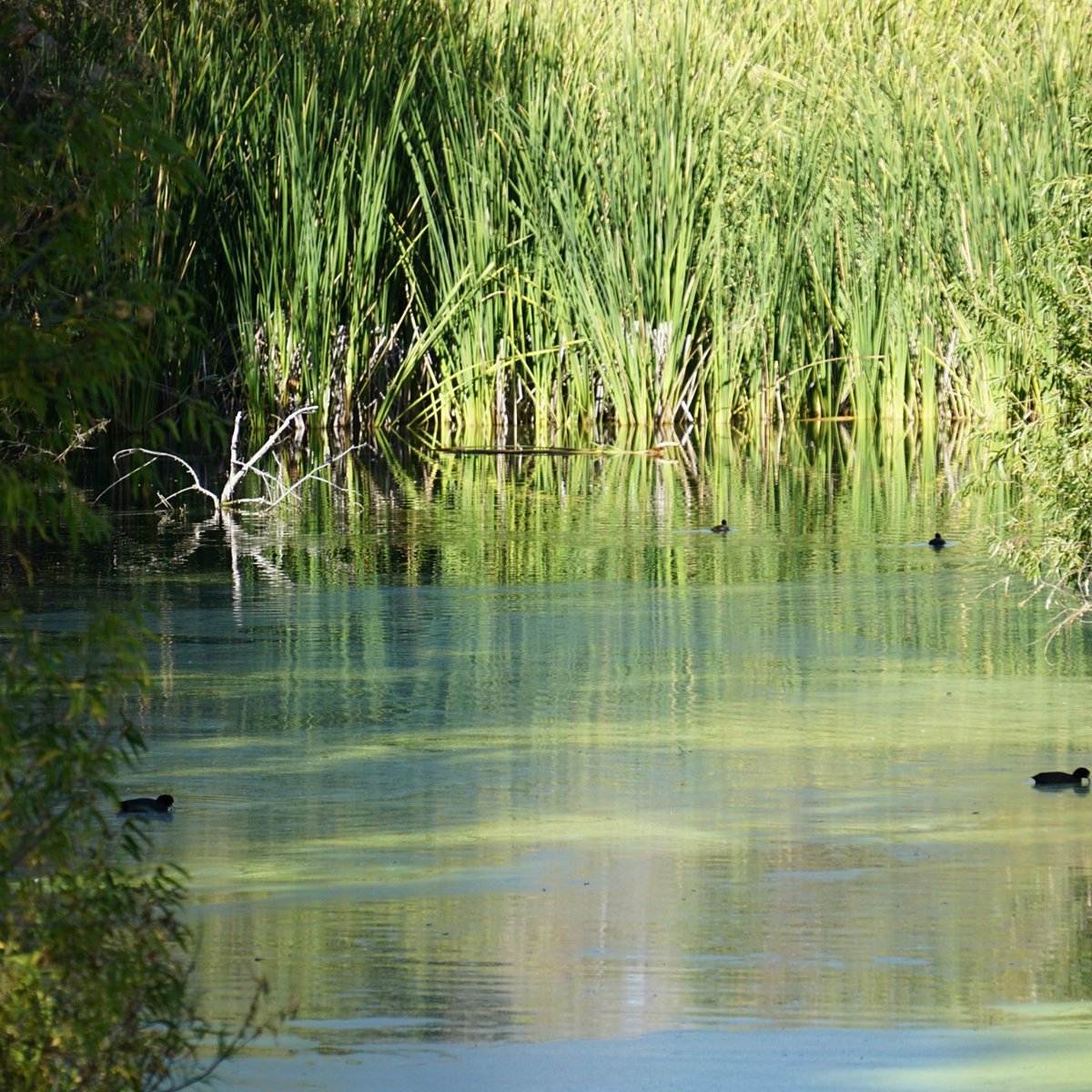 Willow Pond Nature Trail, Florida - 145 Reviews, Map