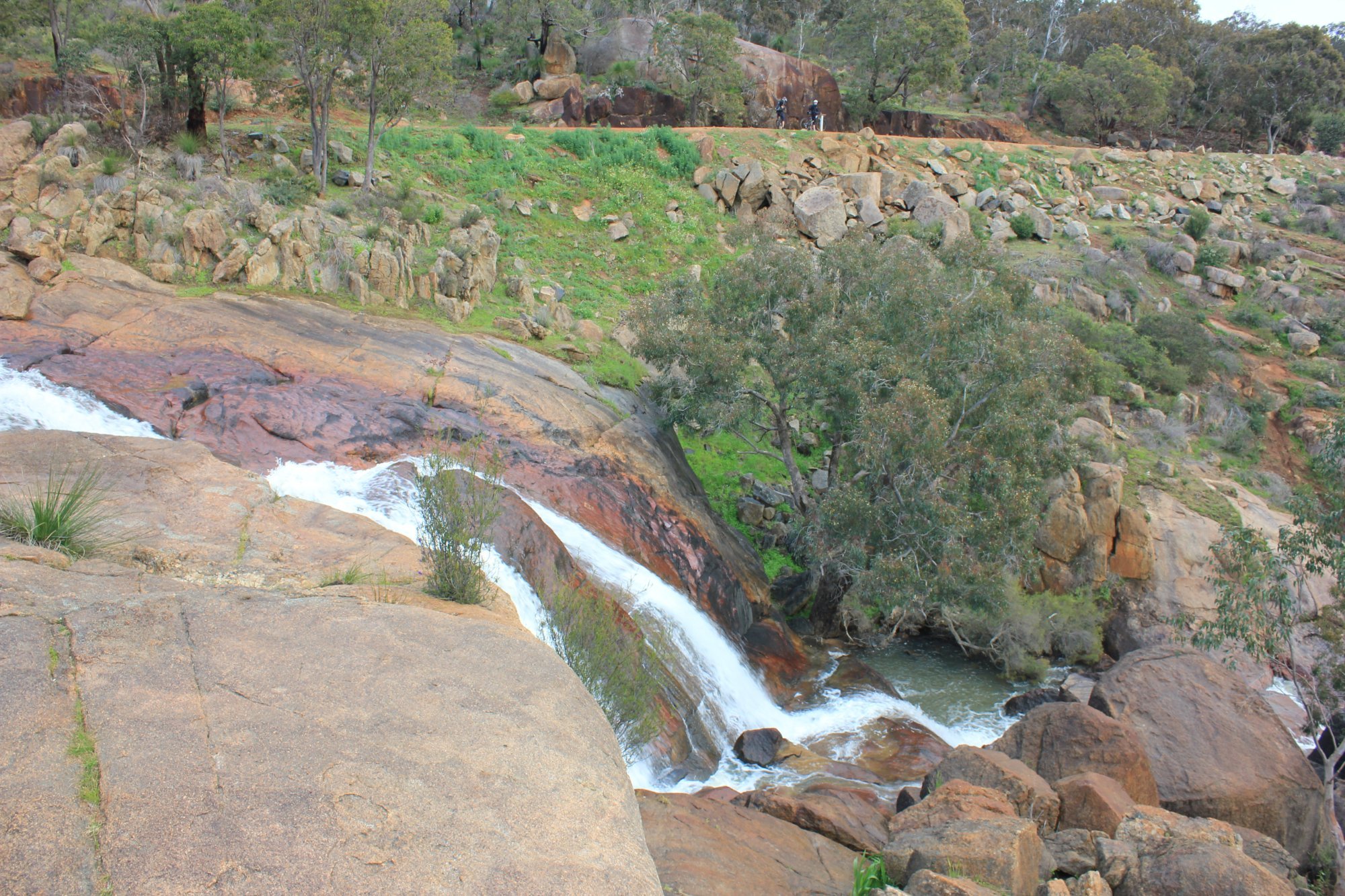 THE 10 BEST Things To Do In Mundaring - 2022 (with Photos)