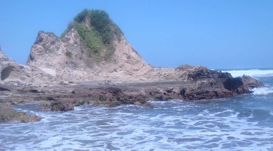 karang di mana mana