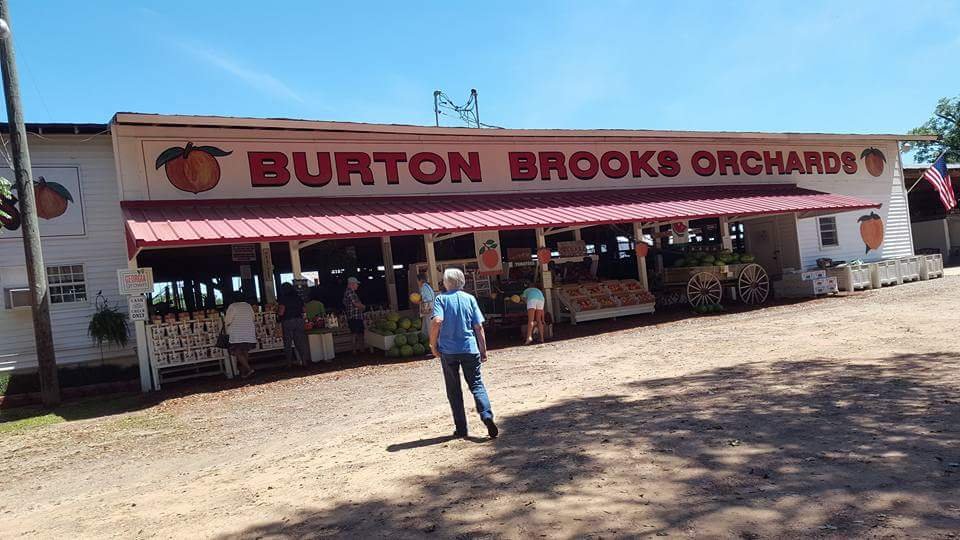 Burton Brooks Peach Orchard All You Need to Know BEFORE You Go