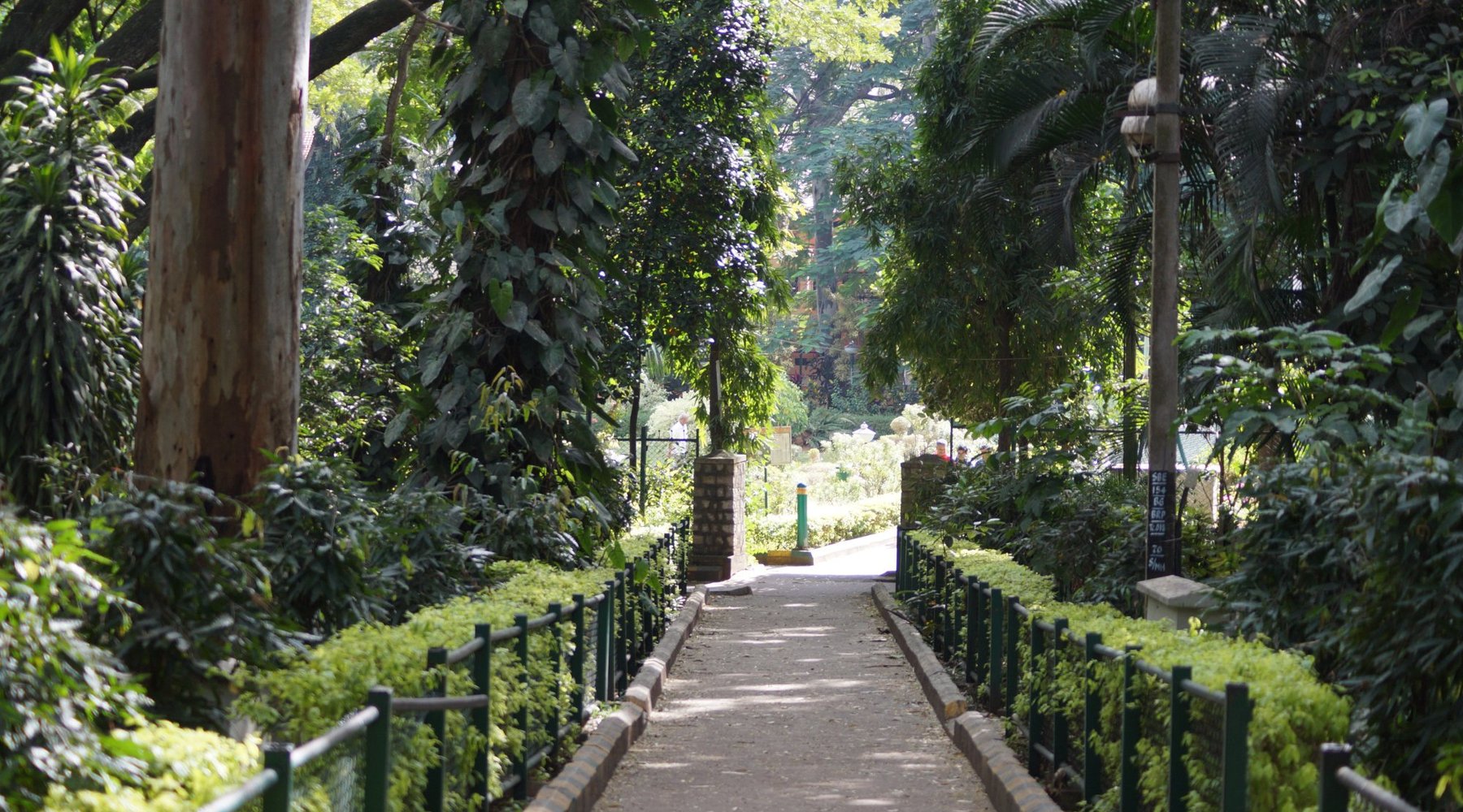 BUGLE ROCK PARK: Tutto quello che c'è da sapere (2025)