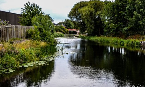 River Soar