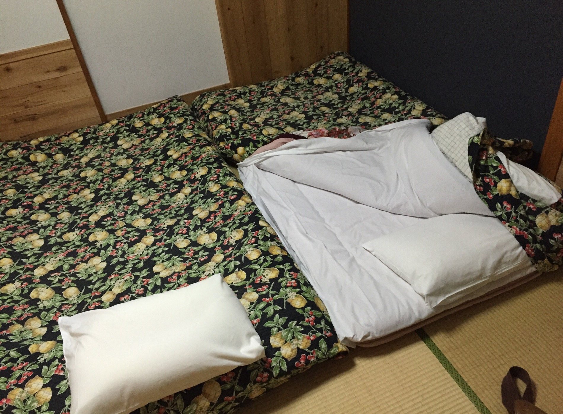 Turtle Inn Nikko by null