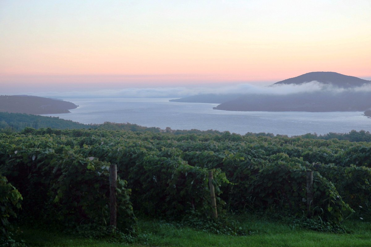 Canandaigua 2025 lake wineries