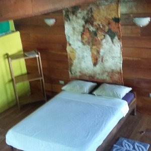 Cabinas Bucus and Tours