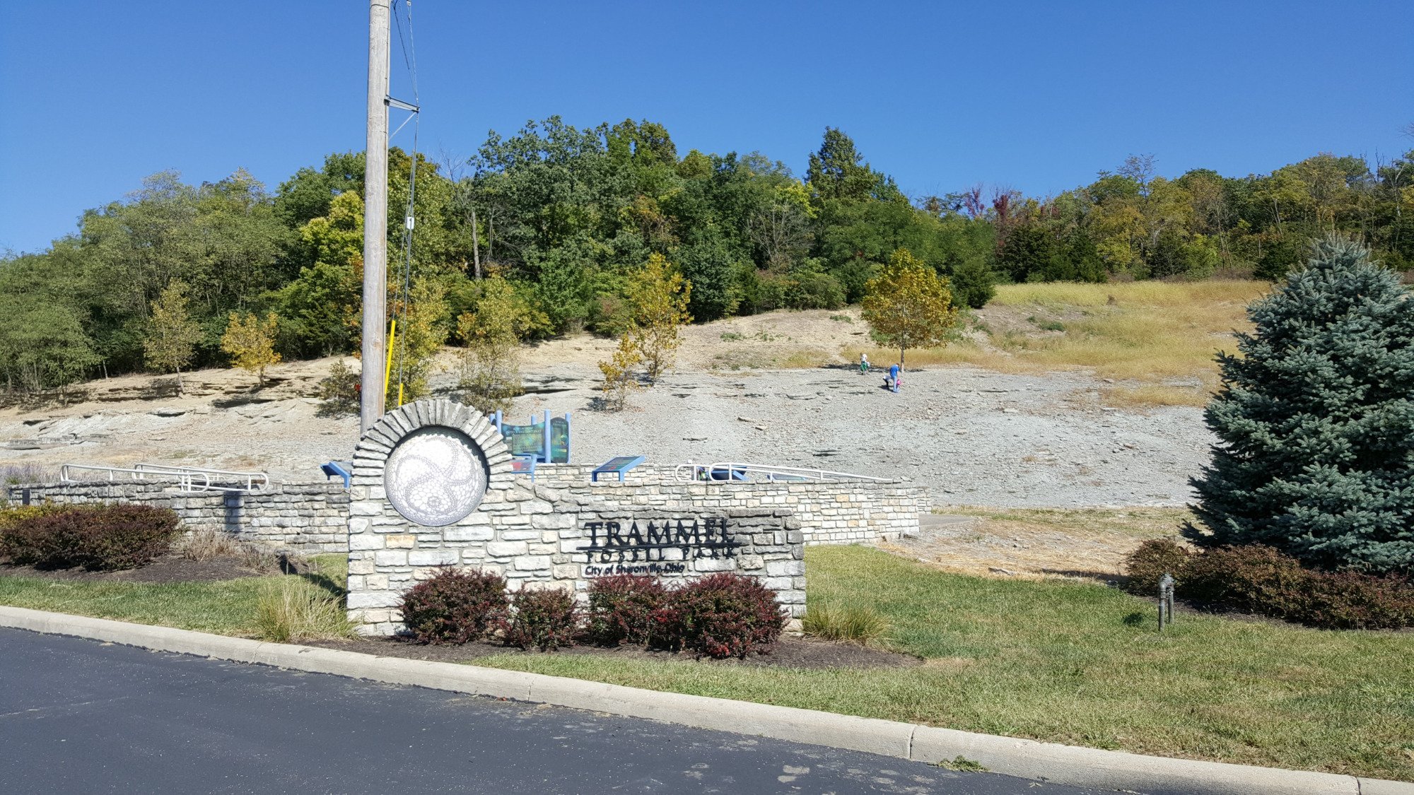 Trammel Fossil Park All You Need to Know BEFORE You Go 2024