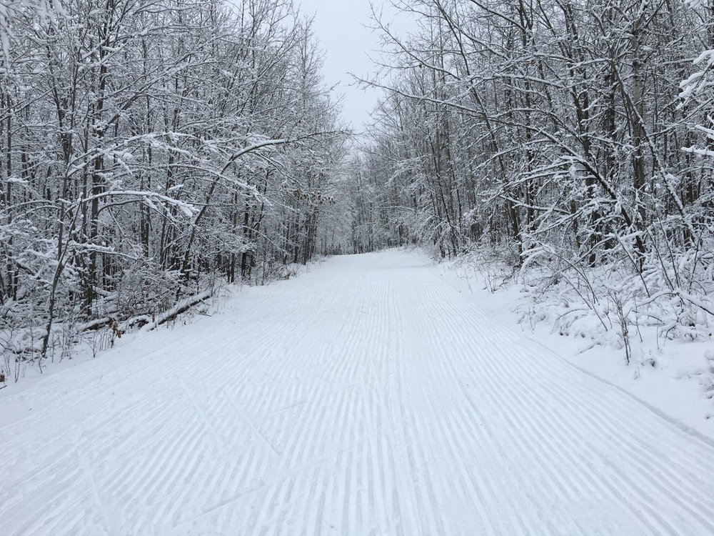 THE 10 BEST Wisconsin Hiking Trails (2024) - Tripadvisor