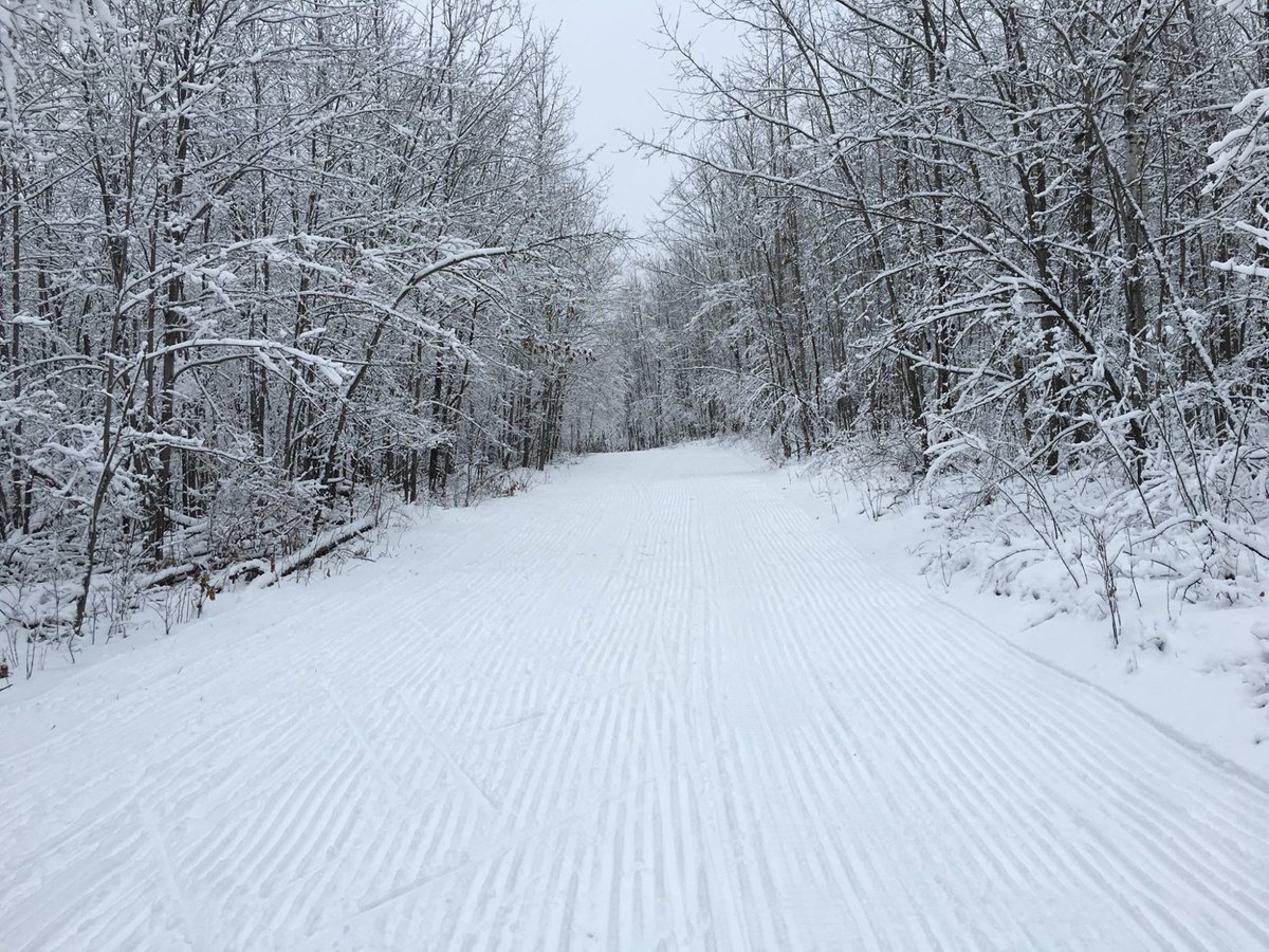 American Birkebeiner Trail - All You Need To Know Before You Go (2024)