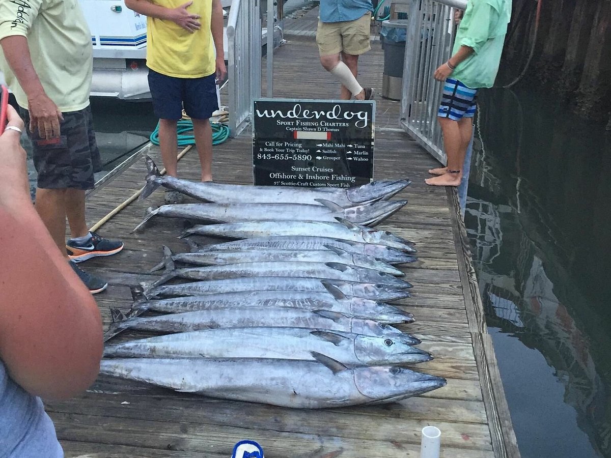 Underdog Sport Fishing Charters - All You Need to Know BEFORE You Go (2024)