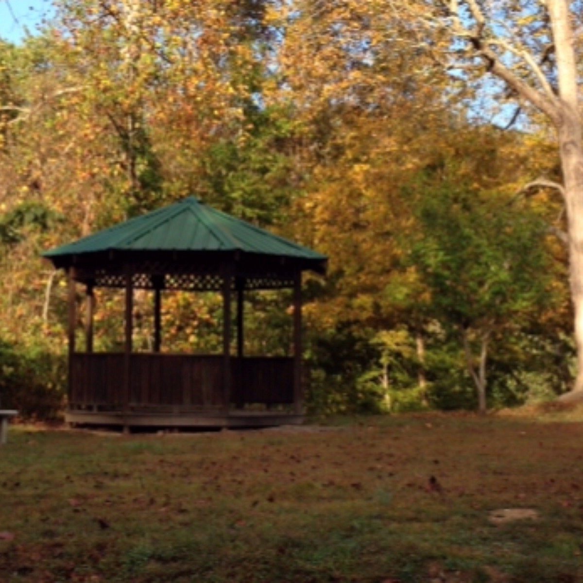 COONSKIN PARK GOLF COURSE Tutto quello che c'è da sapere COONSKIN PARK GOLF COURSE Tutto quello che c'è da sapere