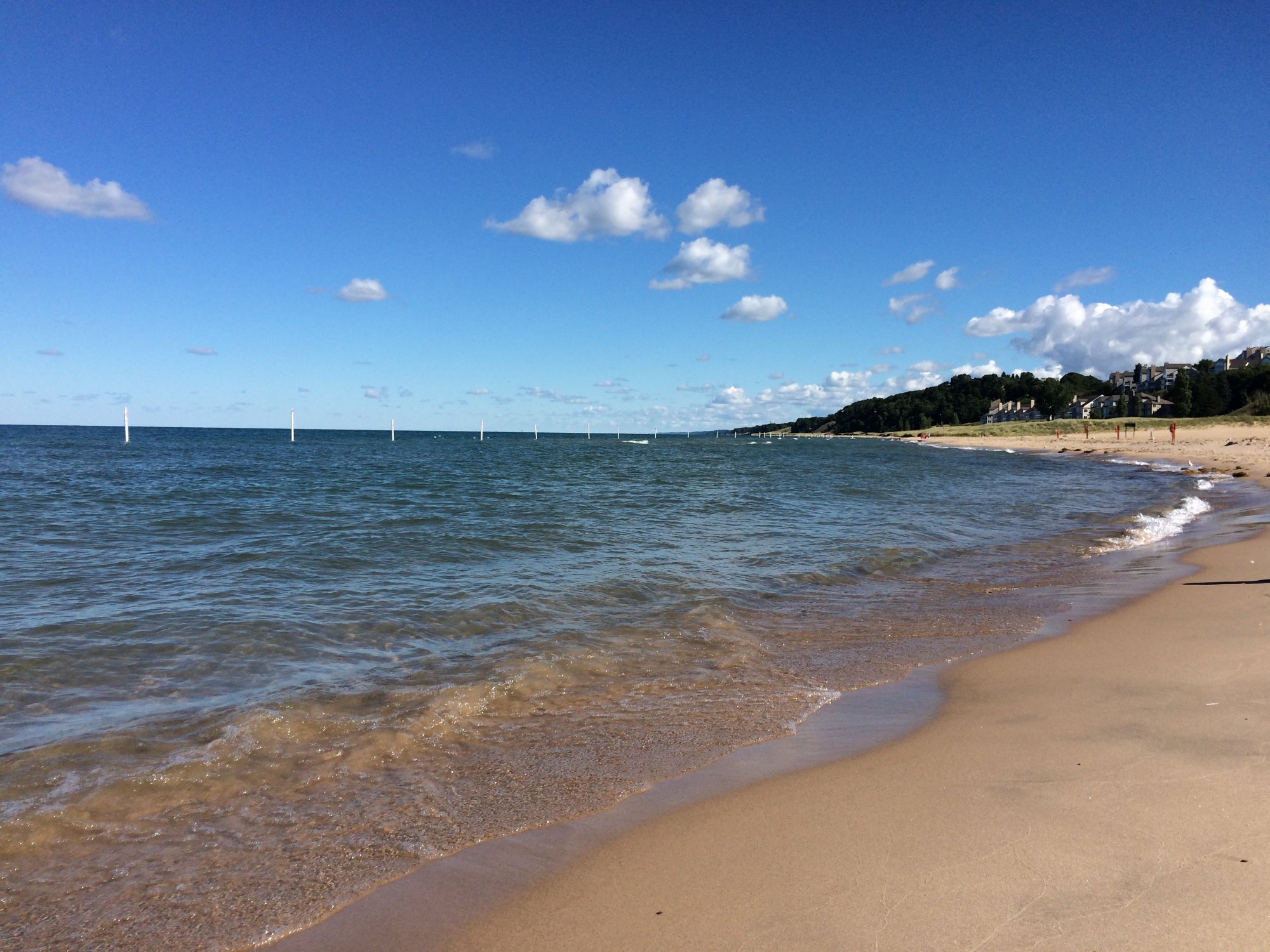 Holland State Park Beach All You Need to Know BEFORE You Go 2024