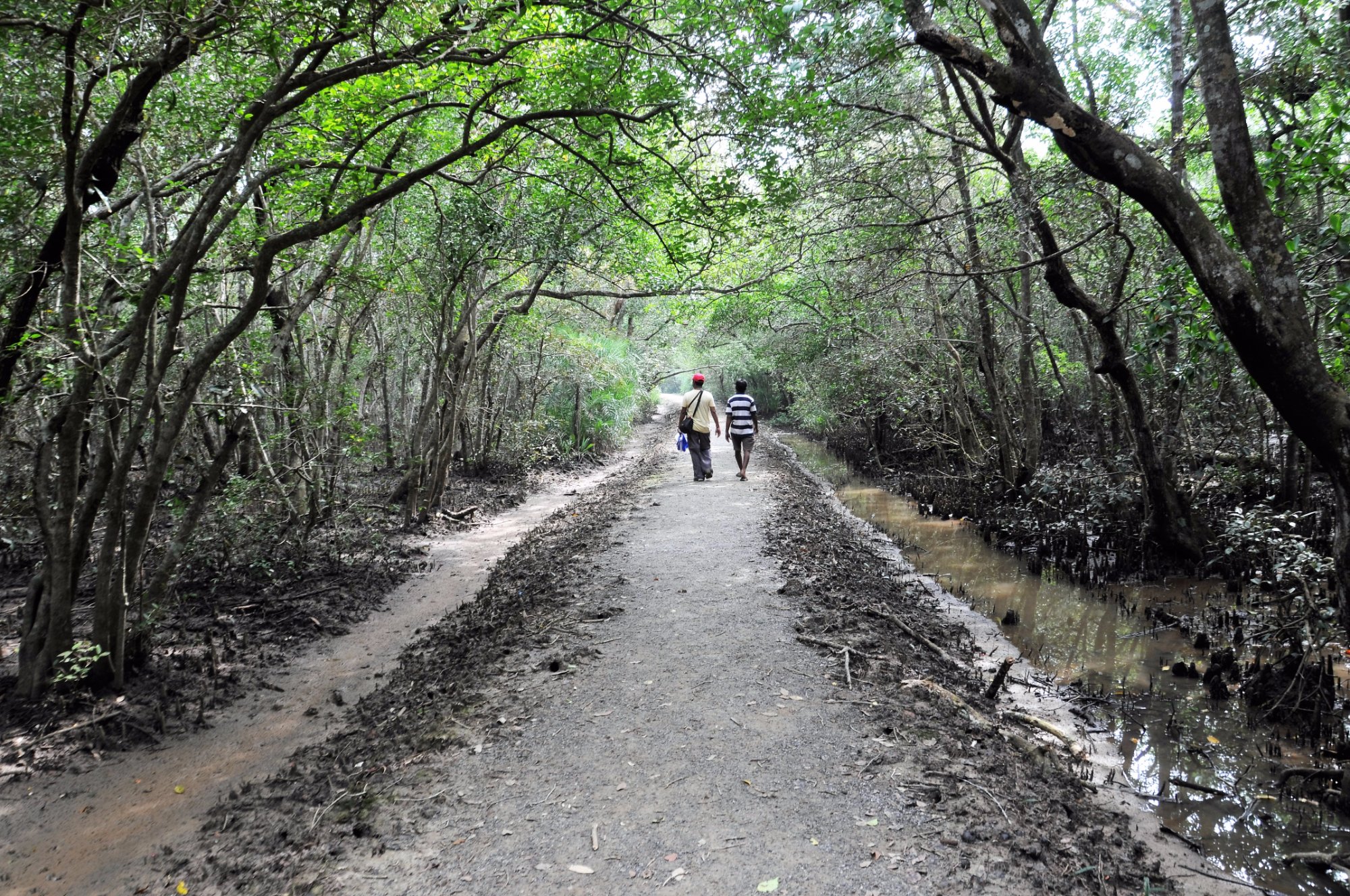 Chandipur in Odisha | A weekend beach destination with the "Vanishing Sea"  - My Travel Frames