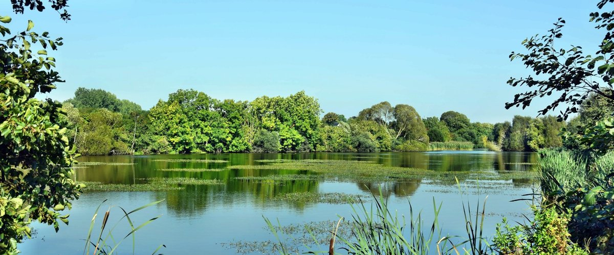 Smukt syn fra stien som går rundt om Ulkebøl Dam. Foto september 2016