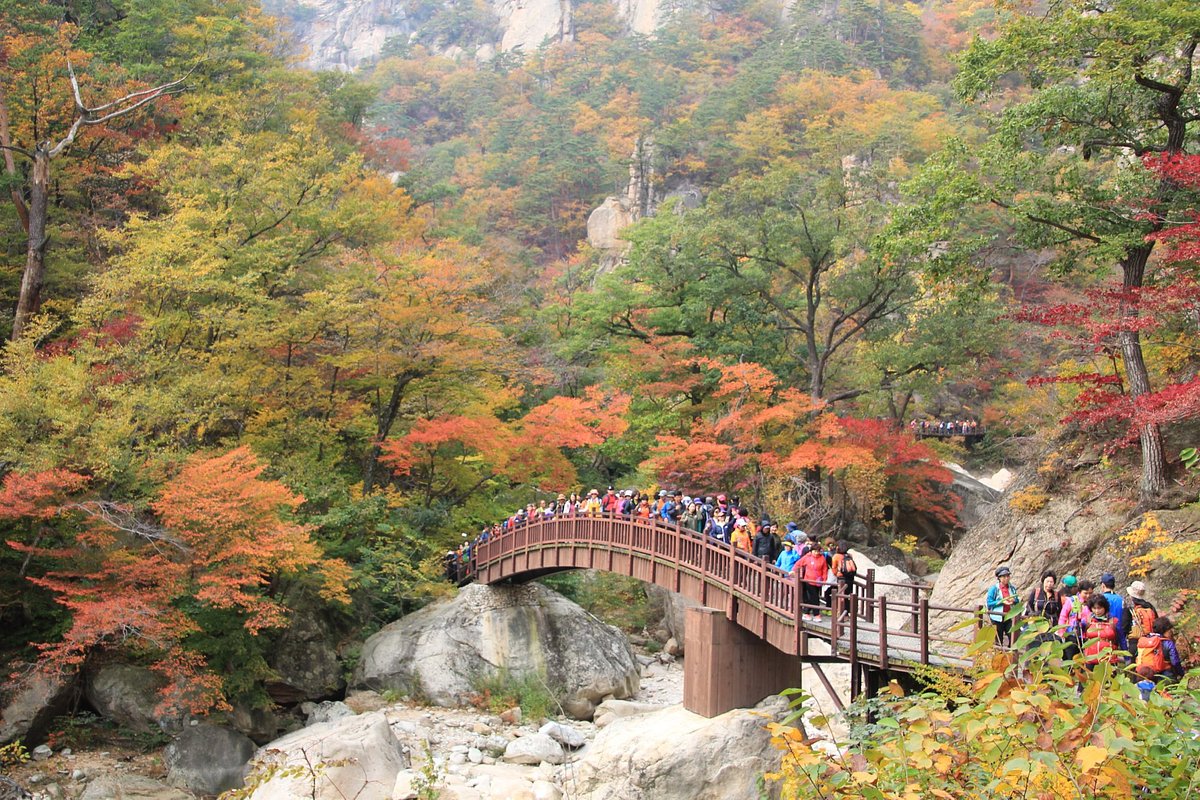 Seoraksan National Park (Sokcho, Hàn Quốc)