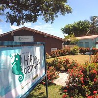Sede do Projeto Hippocampus em Porto de Galinhas