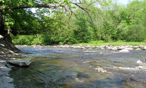 Rivière du chêne