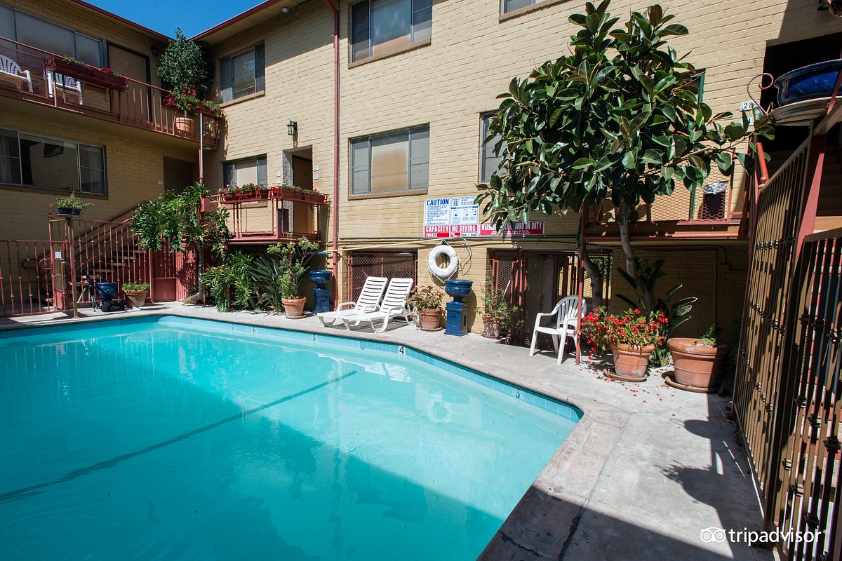 Hollywood Downtowner Motel Pool: Pictures & Reviews - Tripadvisor