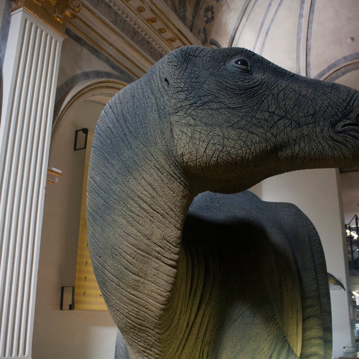 MUSEO TEMPO DE DINOSAURIOS (Morella) - Qué SABER antes de ir