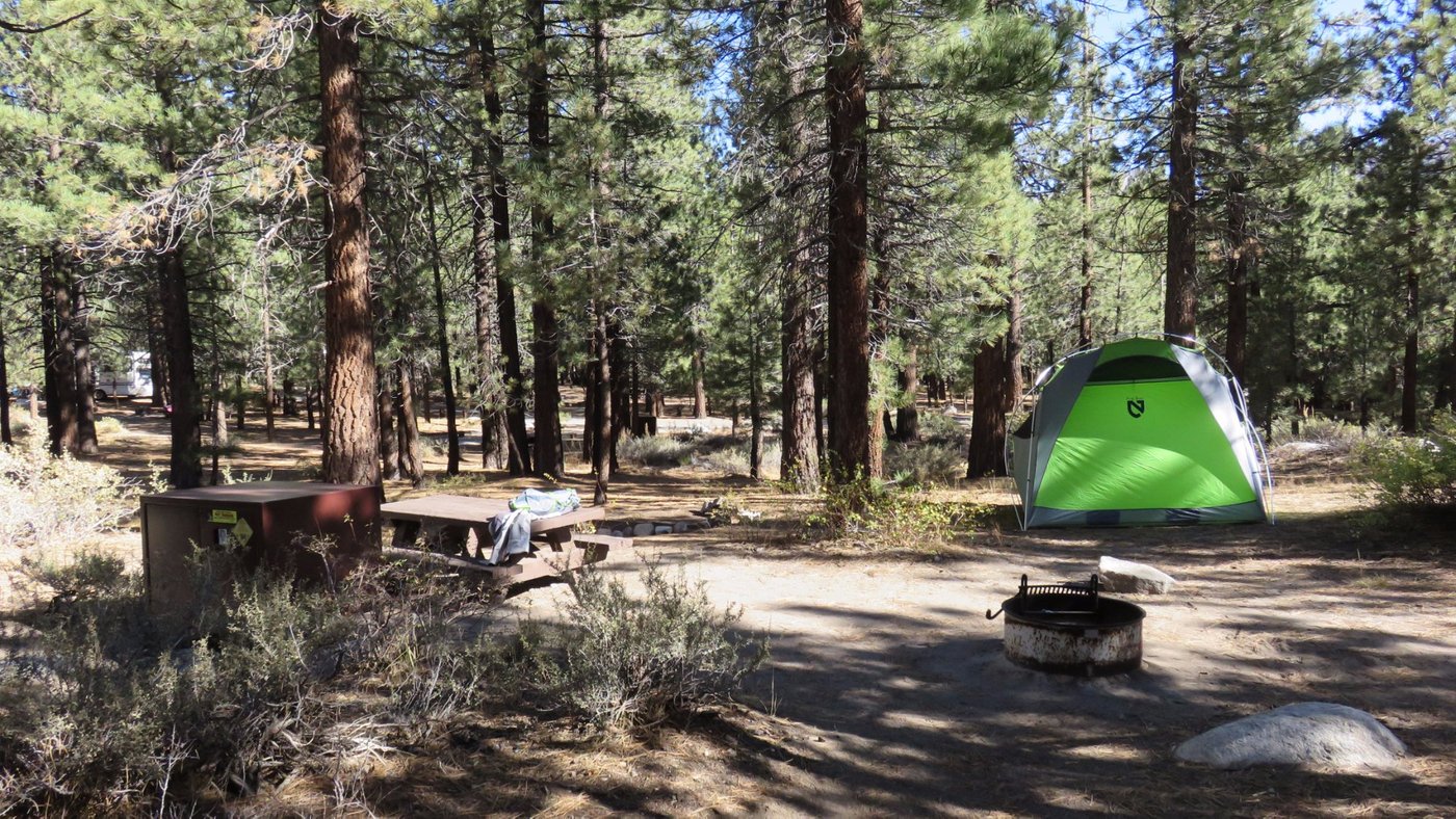 Escape to Serenity: Uncover the Magic of New Shady Rest Campground