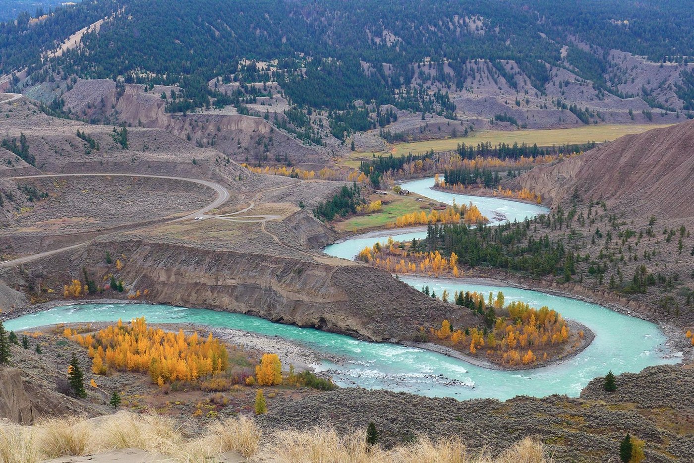 Dominique Schellenberg British Columbia Canada