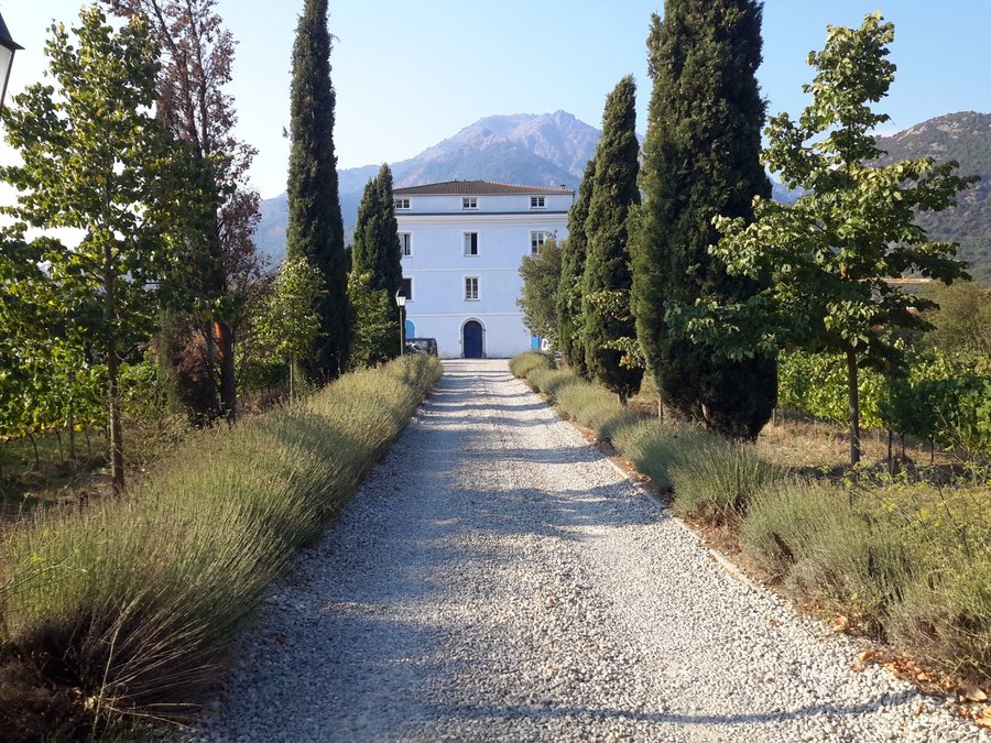 Casa Guelfucci Corte Francia Opiniones Comparacion De Precios Y Fotos Del Casa De Huespedes Tripadvisor