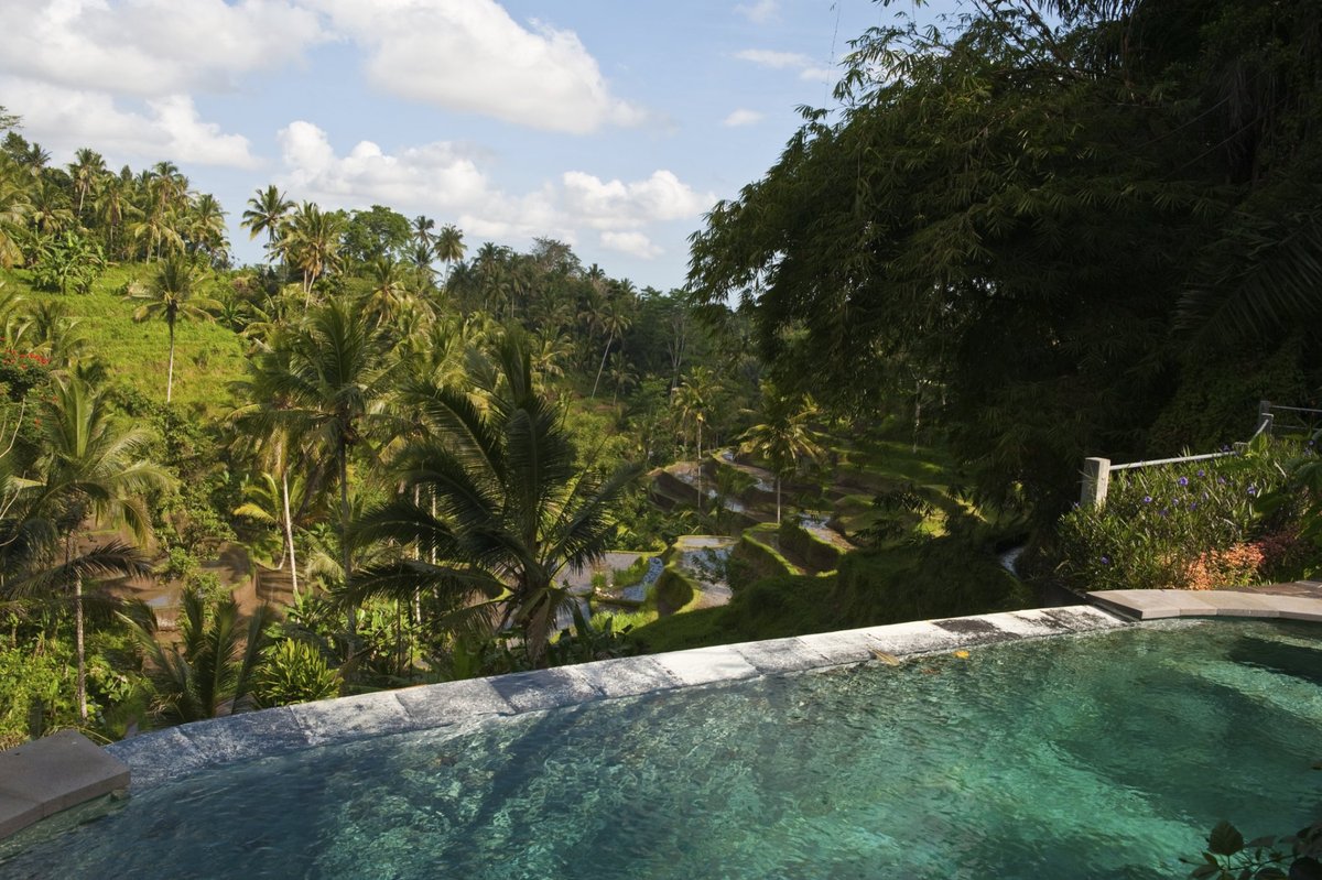 Villa Wedang Ubud Pool Pictures & Reviews - Tripadvisor