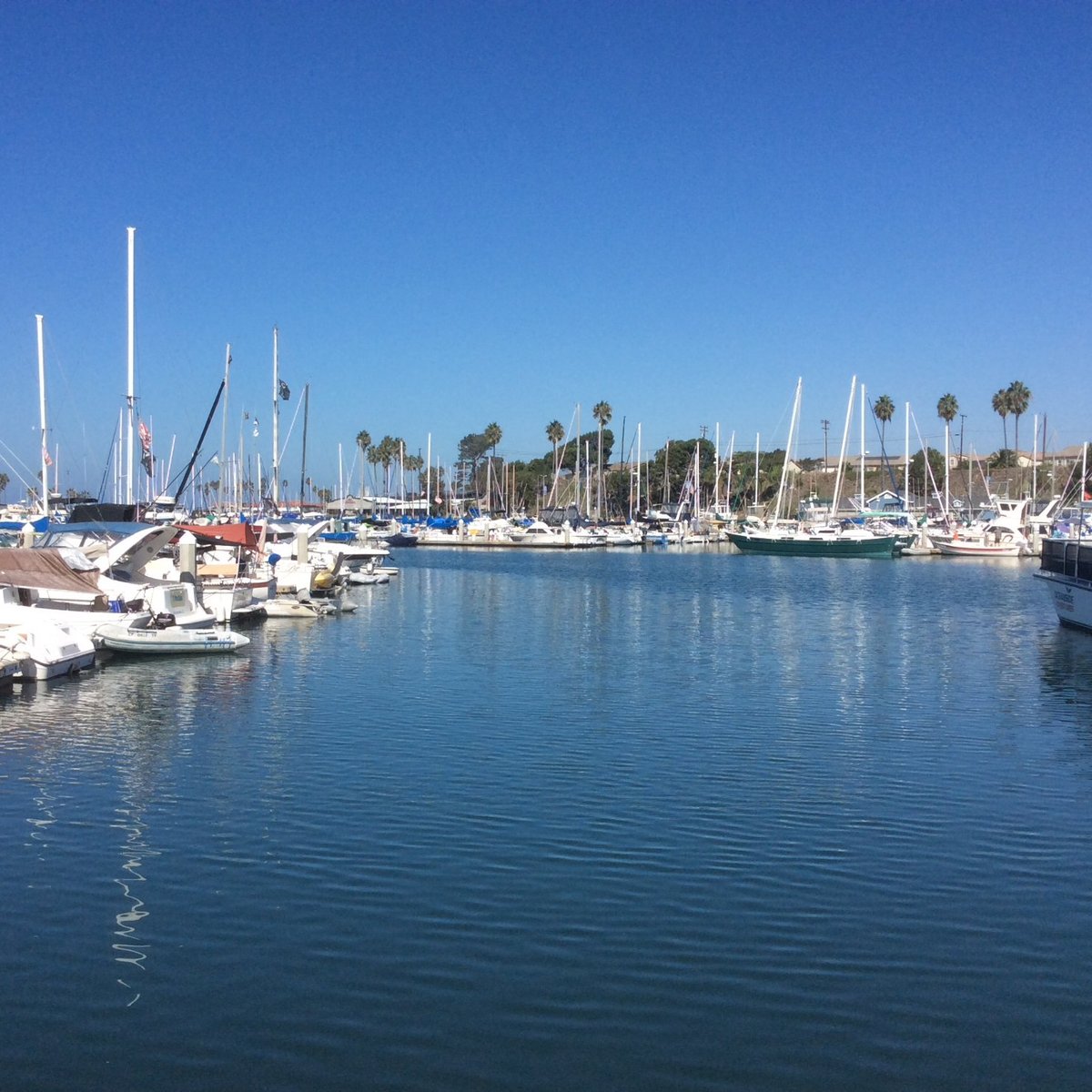 OCEANSIDE MUNICIPAL MARINA (2025) All You Should Know BEFORE You Go ...