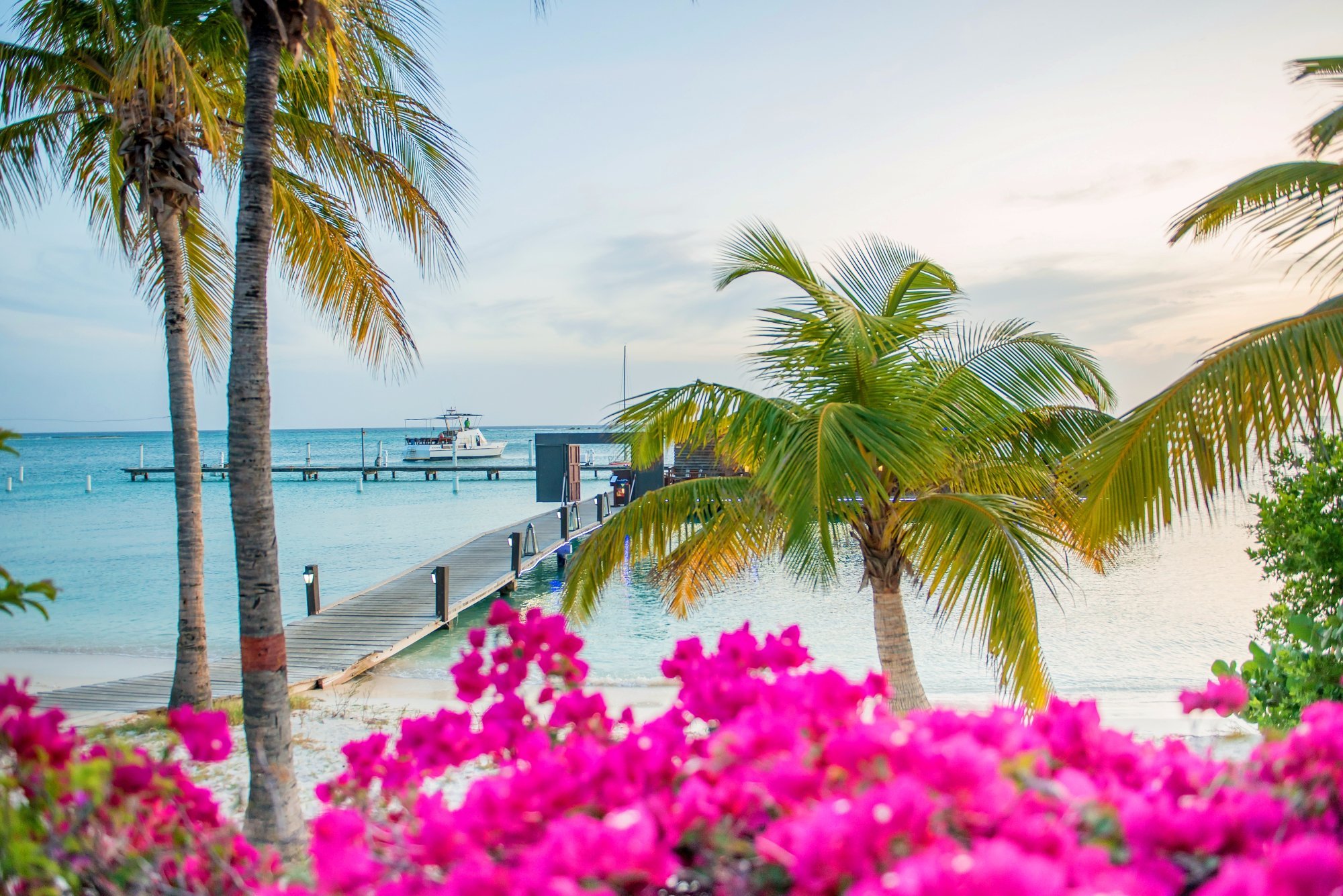 Aruba Surfside Marina by null