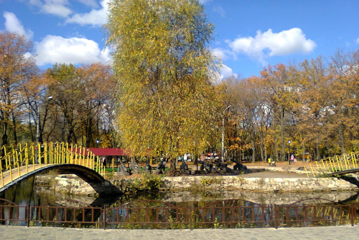 Парки самары. Парк Гагарина осенью Самара. Осень в Самаре парк Гагарина. Парк Гагарина Самара озеро. Парк Гагарина Самара пруд.