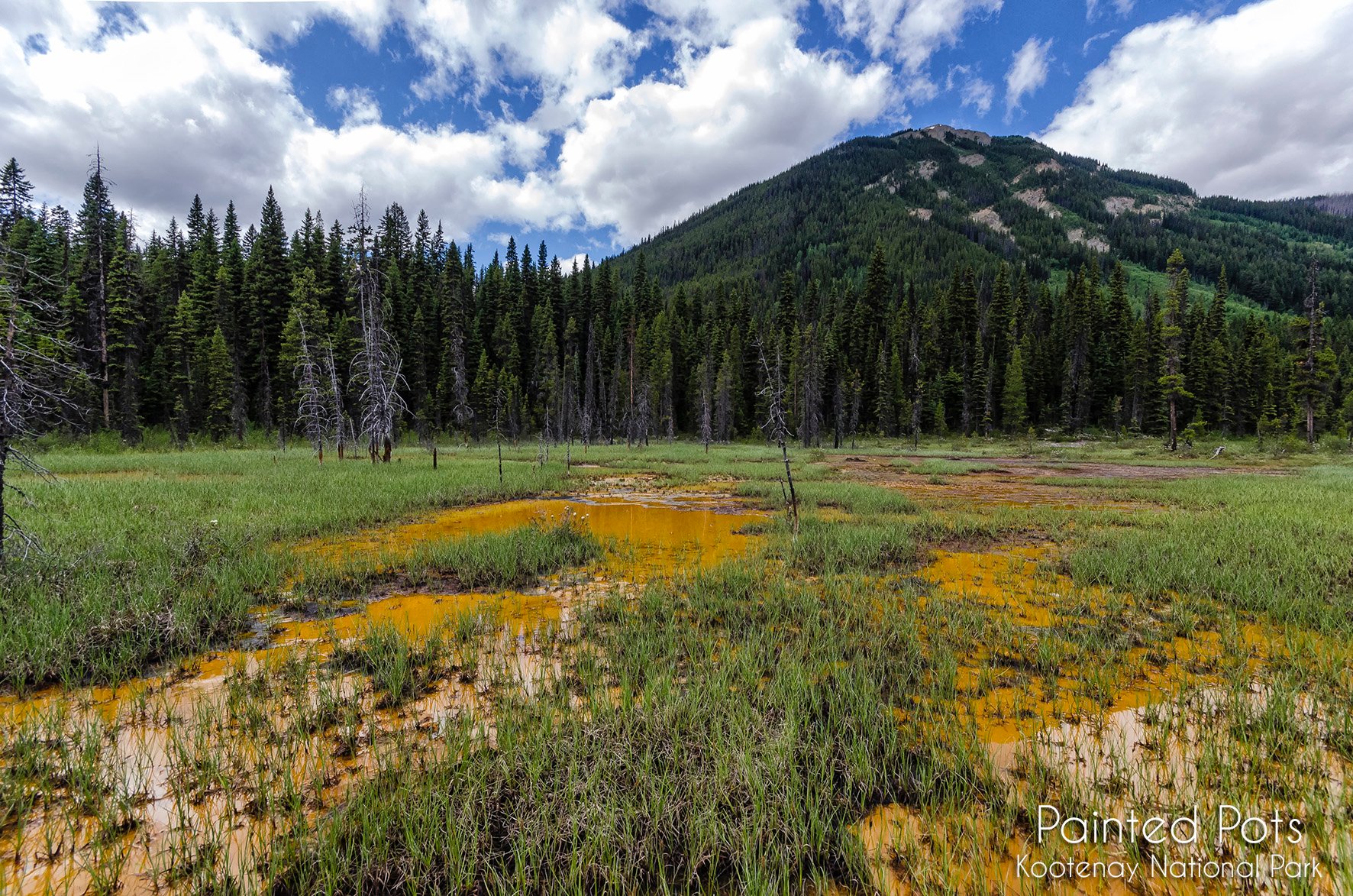 PAINT POTS Kootenay National Park Ce Qu Il Faut Savoir   Paint Pots 