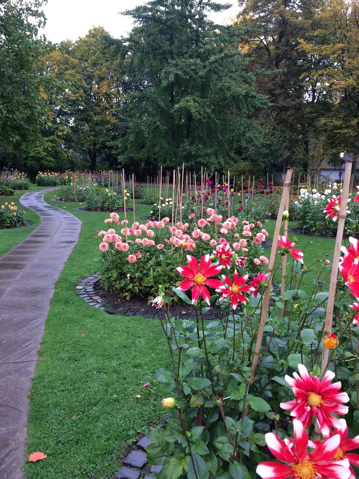 NORDPARK RESTAURANT, Bielefeld Menu, Prices & Restaurant Reviews