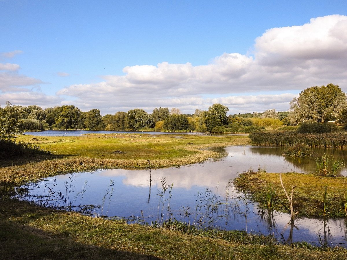 Nature Reserve Family Entry - Brandon Marsh Nature Centre