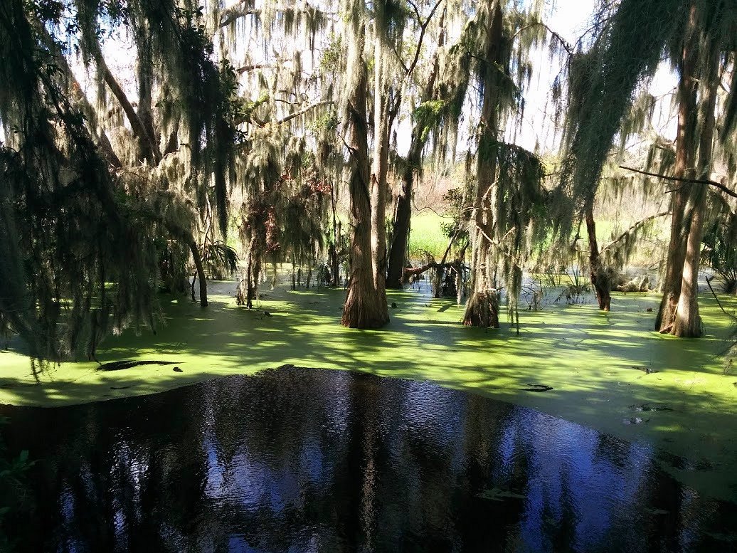 Circle B Bar Reserve In Lakeland Fl