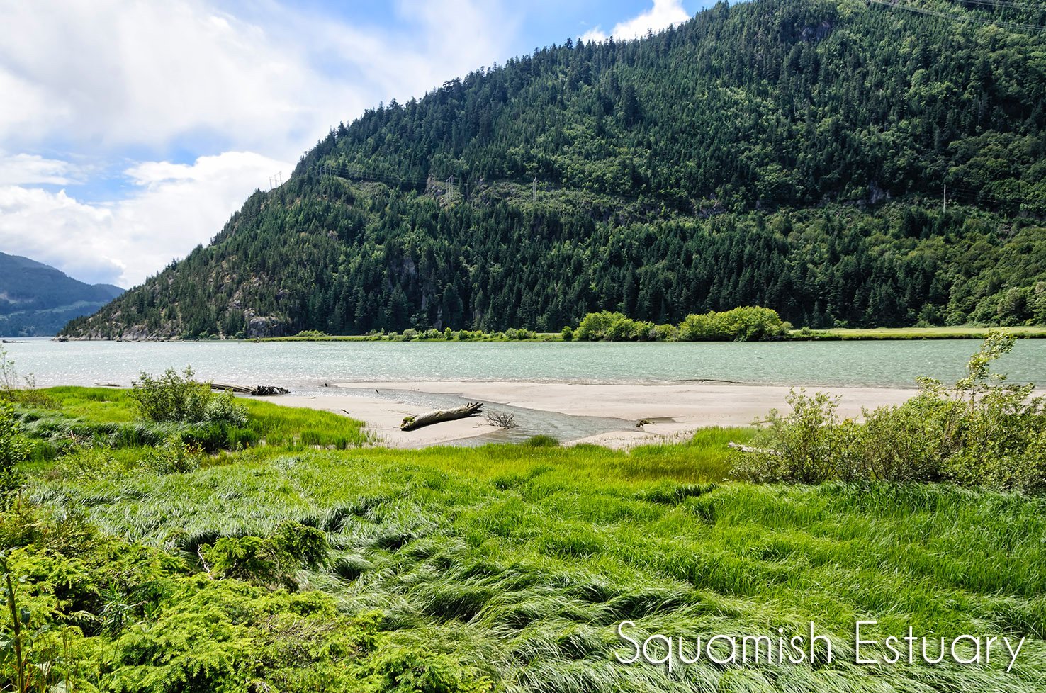 Squamish Estuary - 2022 Alles Wat U Moet Weten VOORDAT Je Gaat ...