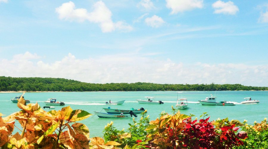 The view overlooking Buccoo Bay