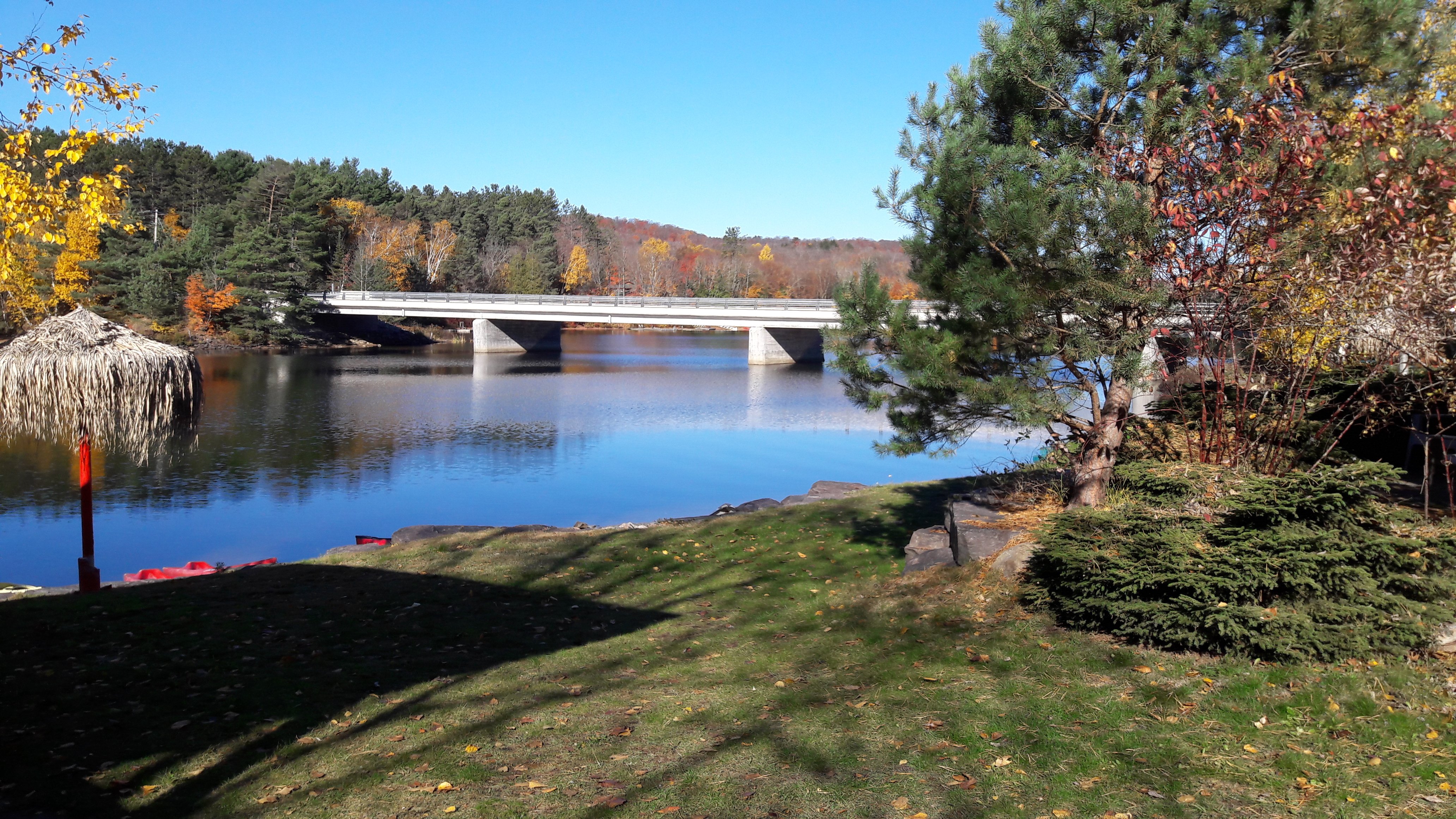 Les 5 Meilleurs Campings Acceptant Les Animaux à Algonquin Provincial ...