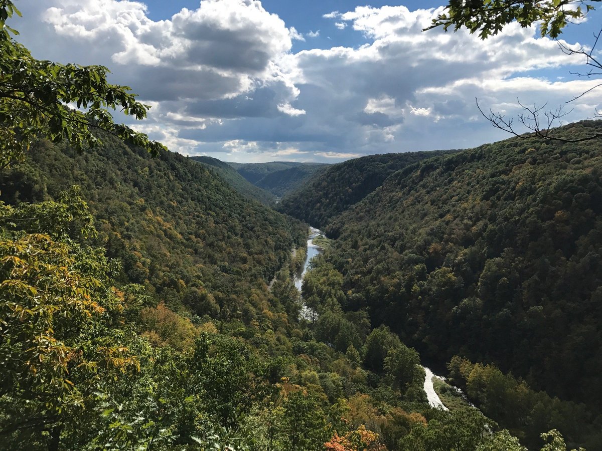 Colton Point State Park (Wellsboro) - All You Need to Know BEFORE You Go