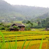 Mu Cang Chai (Yen Bai) - All You Need to Know BEFORE You Go