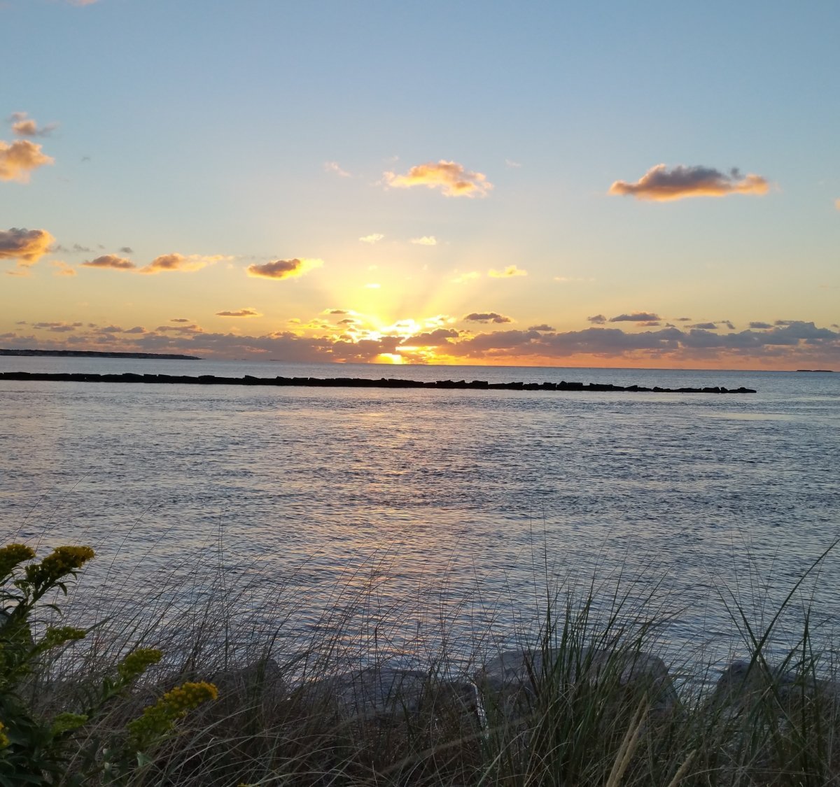 Bass River Beach - South Yarmouth - Bass River Beach Yorumları ...