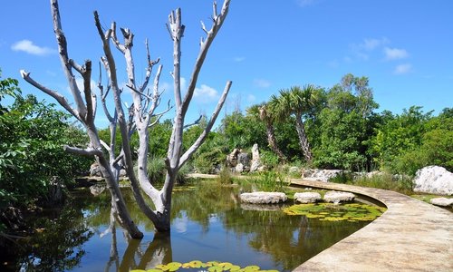 Freshwater wetland