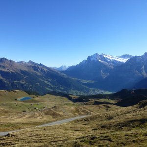 grindelwald lieselotte