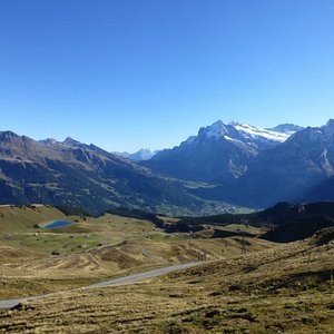 grindelwald lieselotte